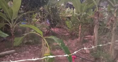 猎人开心射山鸡 老农痛苦中流弹