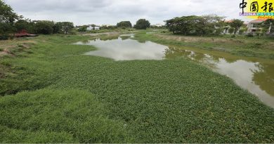 浮萍“淹”河  阻排水  没人清理  恐逢雨成灾