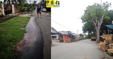 水管爆没修．枯树没砍除  爱极乐新村人  叹无奈