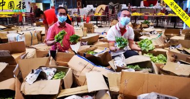 邱培栋：免销毁浪费  政府应拟方案助农民