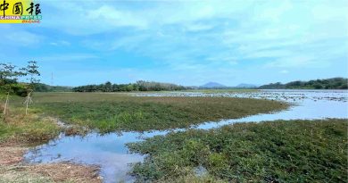 MCO后进入无访客状态  榴梿洞葛水坝  回归自然