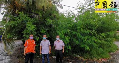 刘志良：杂草丛生太浪费  应善用荒废化粪池