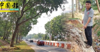 扩建大道 挖土辟沟  路旁大树  电话柱  还稳吗？