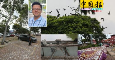 【今日马六甲头条】 污染环境 忧 引发疾病  满城尽是乌鸦粪