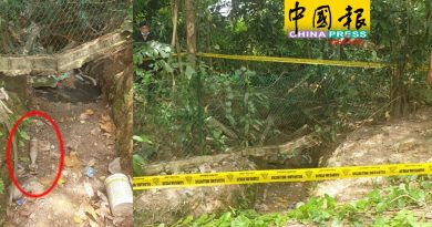 工厂工友清理杂草发现      2迫击炮弹  引爆