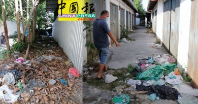 杂草树木垃圾久未清理  空地空屋恐滋生蚊虫