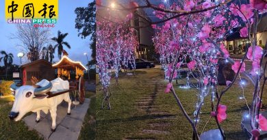 【今日马六甲头条】慈济也有梅花街  首创环保年景布置  一景一物都有故事