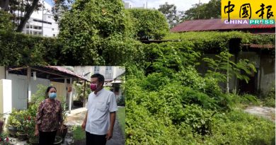 怡力数区蚊症频传   郑国球：州政府应积极防范