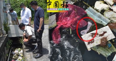 沟墙崩塌无法排水 商家忧蚊症虐肆