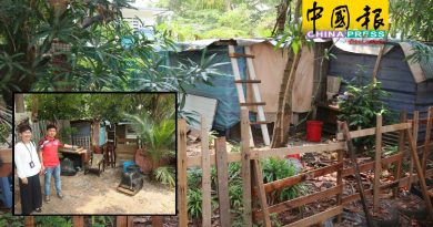 从棚子越变越大 吸毒者 霸地 建小屋