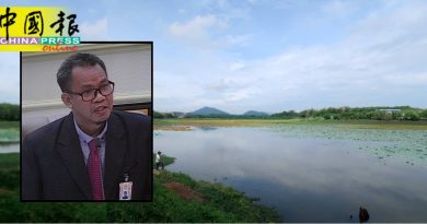 雨季来临  榴梿洞葛水坝  每天上升约1%