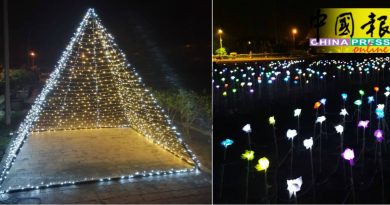 浪漫灯展 来了  在汉都亚中心登场