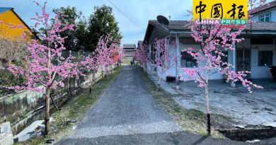 马接峇鲁新村  从简布置梅花街