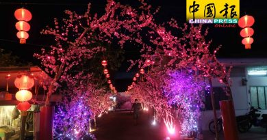 马接峇鲁梅花村  新春气氛浓