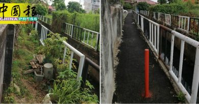 清理小道  打造捷径  学生上学省时安全