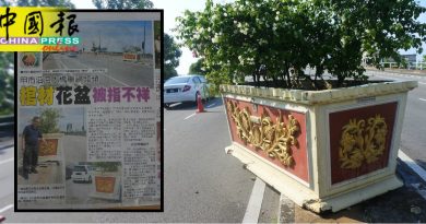 沿海大桥安全岛  “棺材”大花盆  又被撞