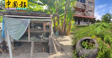 【今日马六甲头条】组屋后河边荒地积水  蚊虫滋生 蛇类出没
