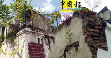 老屋墙缝  长树生草  影响市容  威胁安全