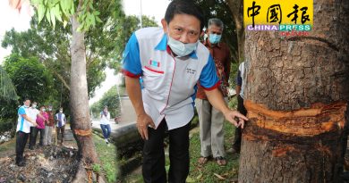 又砍又烧恐左倾右倒 这样毁树 太危险
