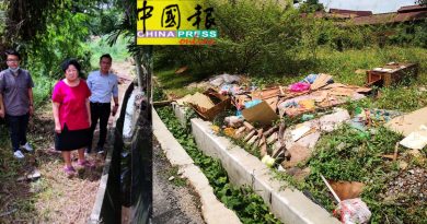 空地野草丛生如小森林      蛇10次入屋 真吓人
