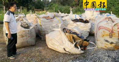 不明废料被弃空地 积水器皿滋生蚊虫