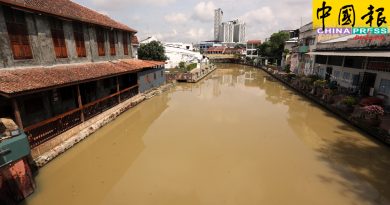 连绵豪雨冲刷河床泥浆  甲河一夜变“奶茶”色