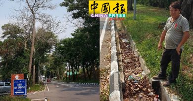 双溪乌浪镇往德林达军营  路旁枯树  不砍危险
