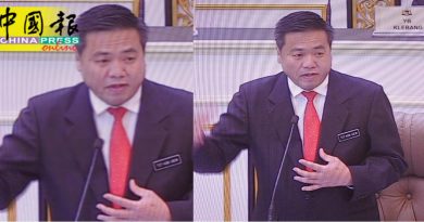 鸦患扰民难解决  4射杀行动  杀292只乌鸦