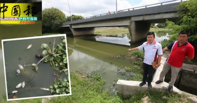 【今日马六甲头条】疑受污染水变黑飘异味  玛琳河  浮现大量鱼尸