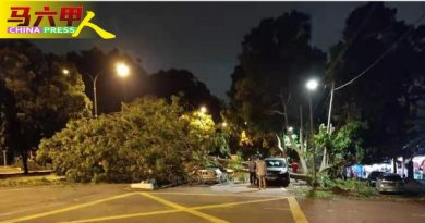 风雨来袭多处倒树 夜市帐篷 被吹翻