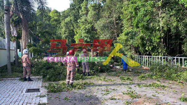 消拯局在民防局队员协助下，锯断倒下的大树。