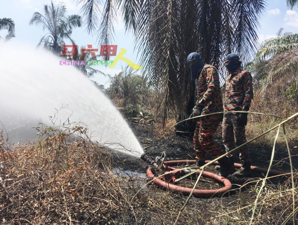 v消拯员奋力灌救位于野新武吉榴梿灌木丛林及油棕园火患。