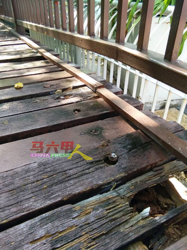 由马六甲历史城市政厅管理的马六甲沿河木桥，木板出现腐蚀，随时都会断裂。