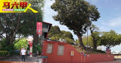 ◤今日马六甲头条◢刘志俍：存在风险  需定时鉴定景点老树