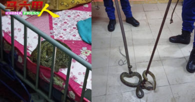 惊！就在甲榴梿洞葛！      蟒蛇床上险缠绕2岁童
