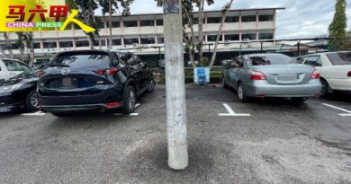 安全岛挡路 灯柱阻泊车  民众抨画蛇添足欠规划