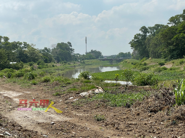 马六甲河位于玛琳及浮罗加东的河段缺乏规划，长期杂草丛生。