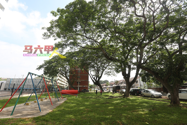 仙丹组屋儿童游乐场种有4棵巨树，数十年来未见修砍。