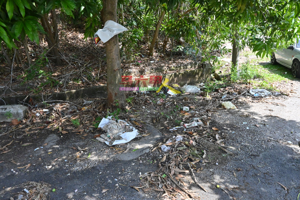 花园道路出现垃圾，引来卫生问题。