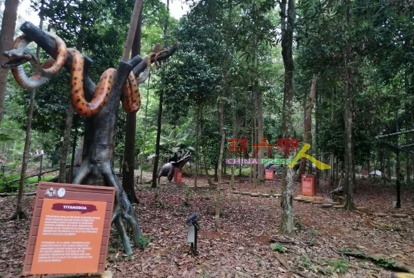 ■植物园里的恐龙与动物区，让民众白天和夜间有不同的体验。