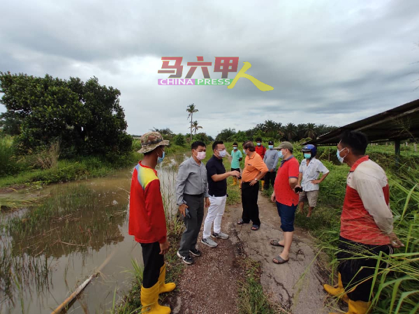 农民们纷纷向林千宏（左2起）、蔡求伟及戴佛淞求助。