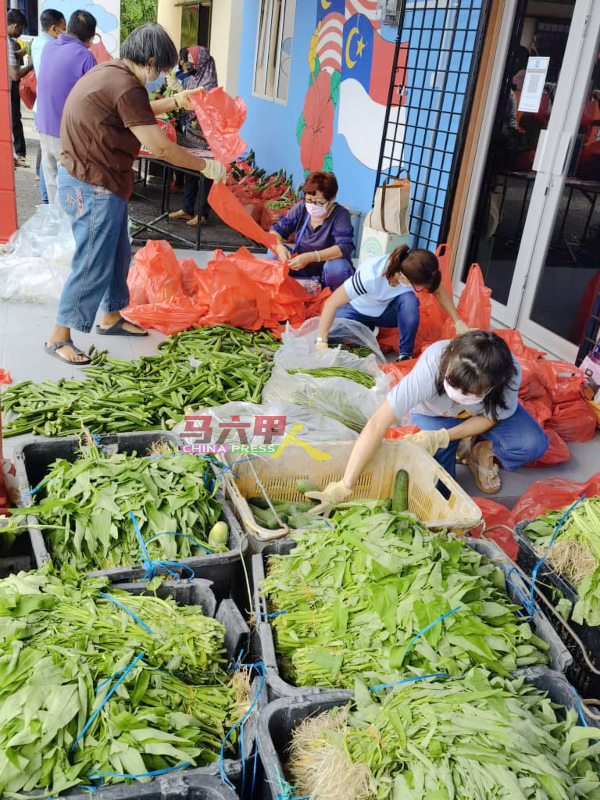 ■志工们进行分配蔬菜工作。