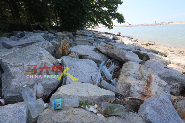 ■双岛城海边布满不少塑料垃圾。