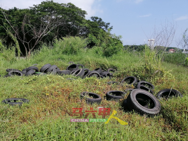 草丛里也有许多废弃轮胎。