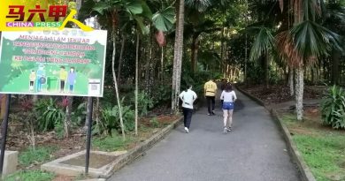 ◤今日馬六甲頭條◢疫情反弹减户外活动  植物园 人潮少了