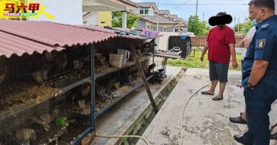 笼养家禽宠物  街坊闻臭  屋主遭举报限期清除