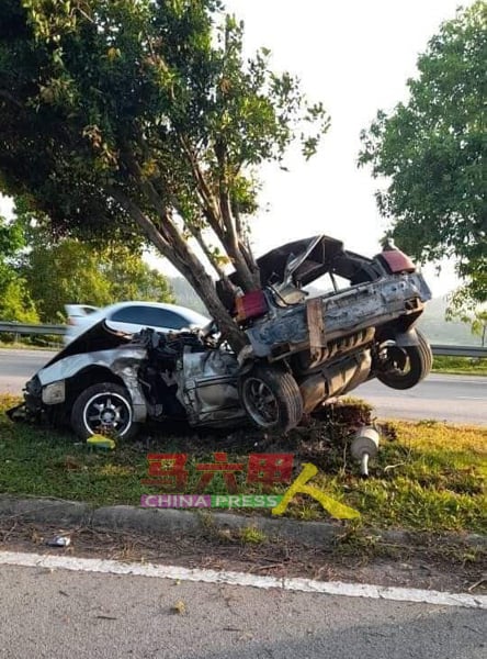 疑轿车欲闪避越过马路的牛只，失控撞击路中安全岛，轿车U型地“环抱”着大树。