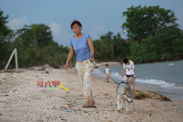 ■一些民众在全面封锁期间，到住家附近的海滩遛狗散步。