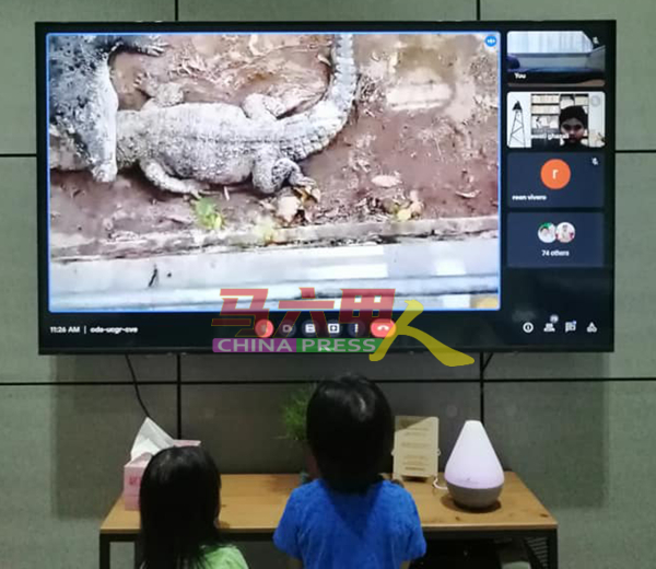 孩童在家通过Google Meet，与马六甲鳄鱼休闲公园进行虚拟导览活动。