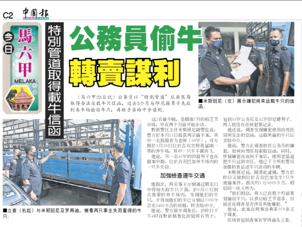 《中国报》于日前报导有关偷窃牛只新闻。